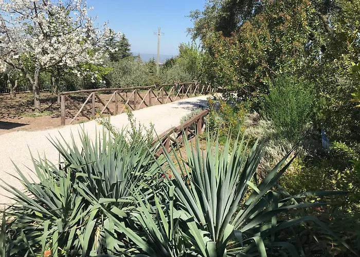 La Paloma B&B di Charme Viterbo